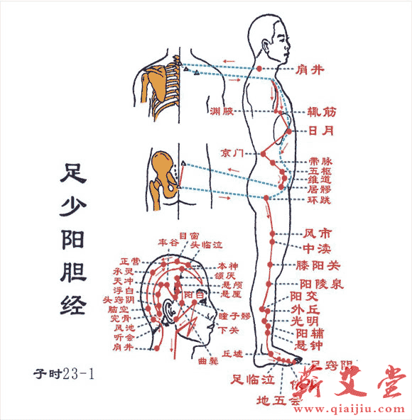 足太陰脾經三,足陽明胃經0202二,手陽明大腸經一,手太陰肺經 02