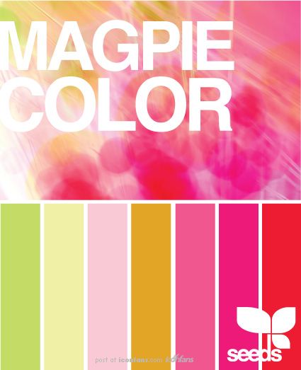 加入大面积黑色调和后,画面稳定很多)橙蓝对比色的和谐统一,一种有