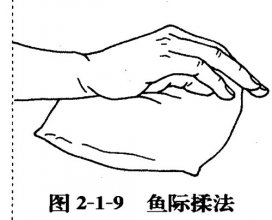 ②鱼际揉法:术者腕关节放松微屈或自然伸直,拇指略内收,其余四指呈