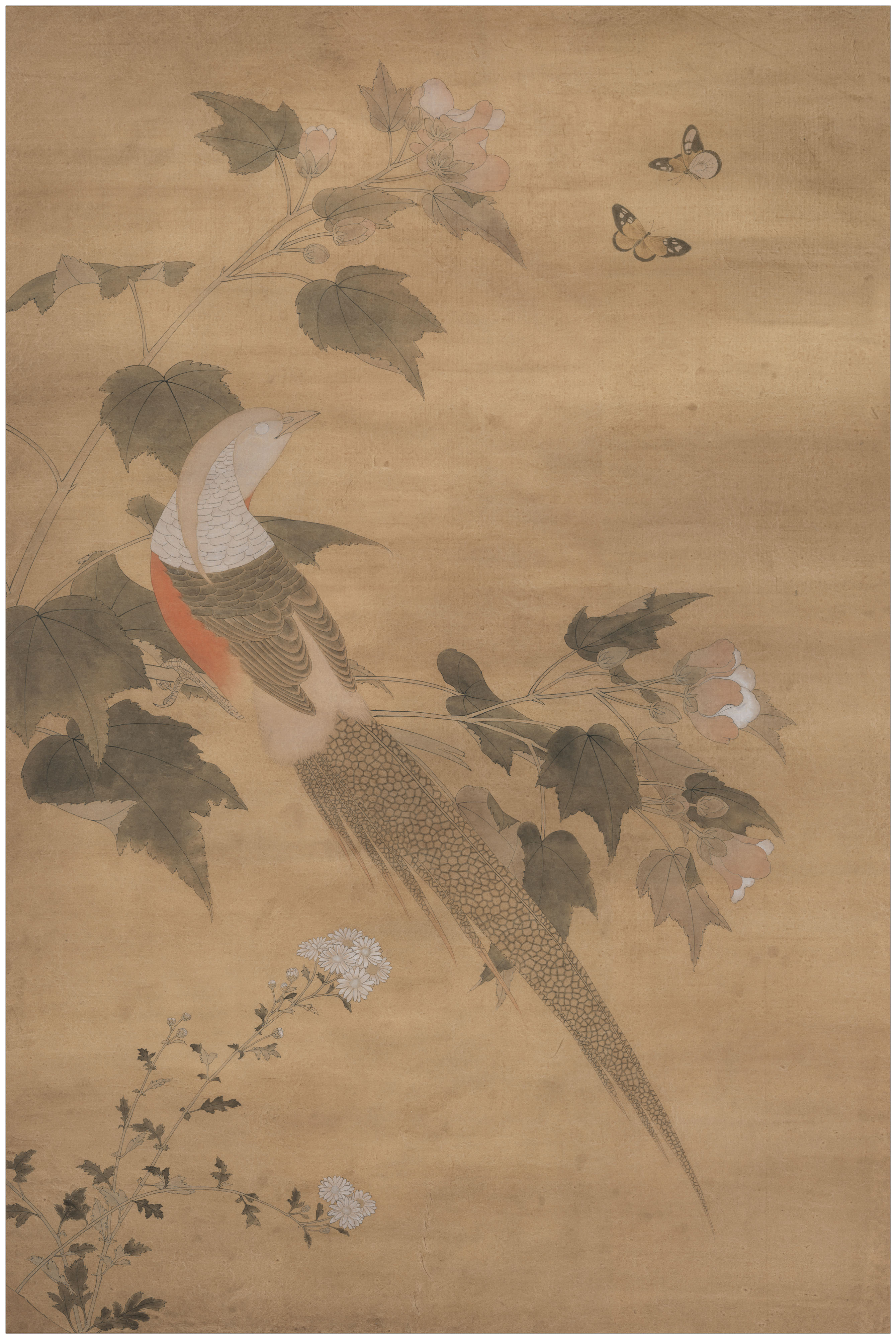 李晓明《临宋赵佶芙蓉锦鸡图》绘制步骤. - 好网角收藏夹