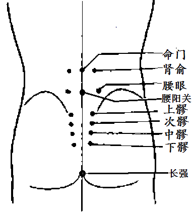 肾区的准确位置图片图片