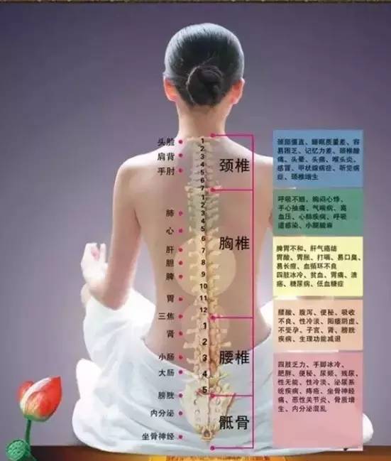 绽放生命的密码背诊