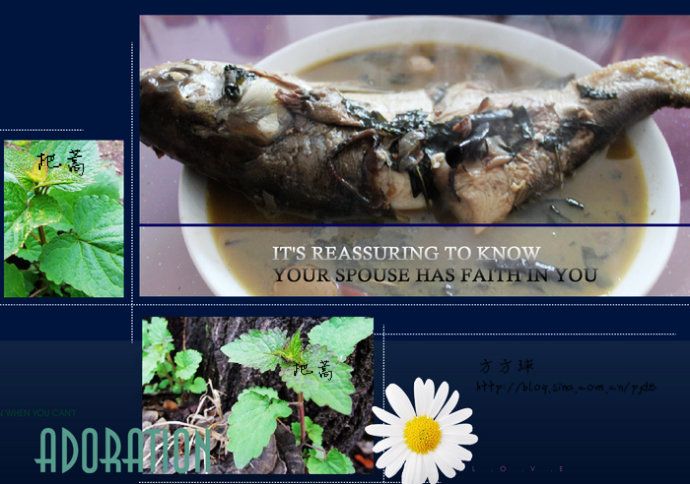 把蒿炖鱼 方方球