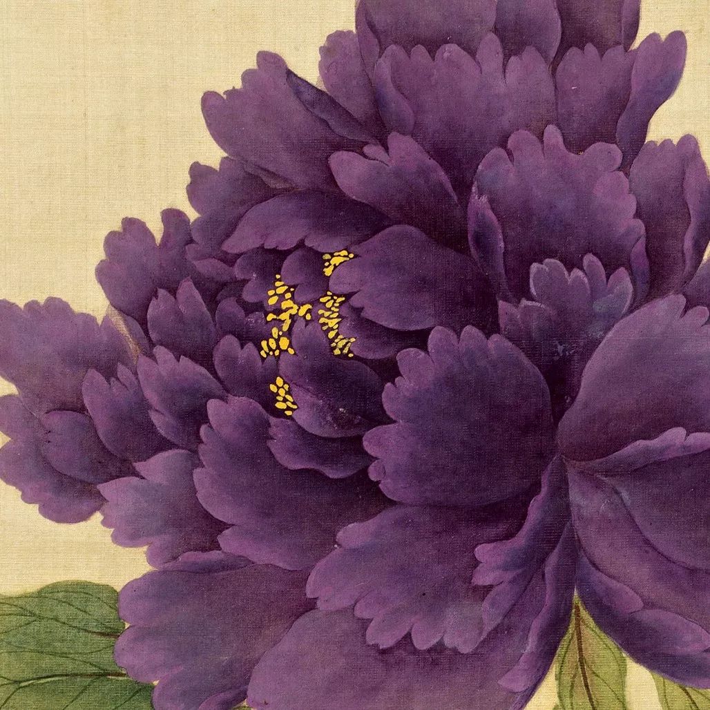 蒋廷锡工笔牡丹的一百种打开方式够美够艳够妖娆