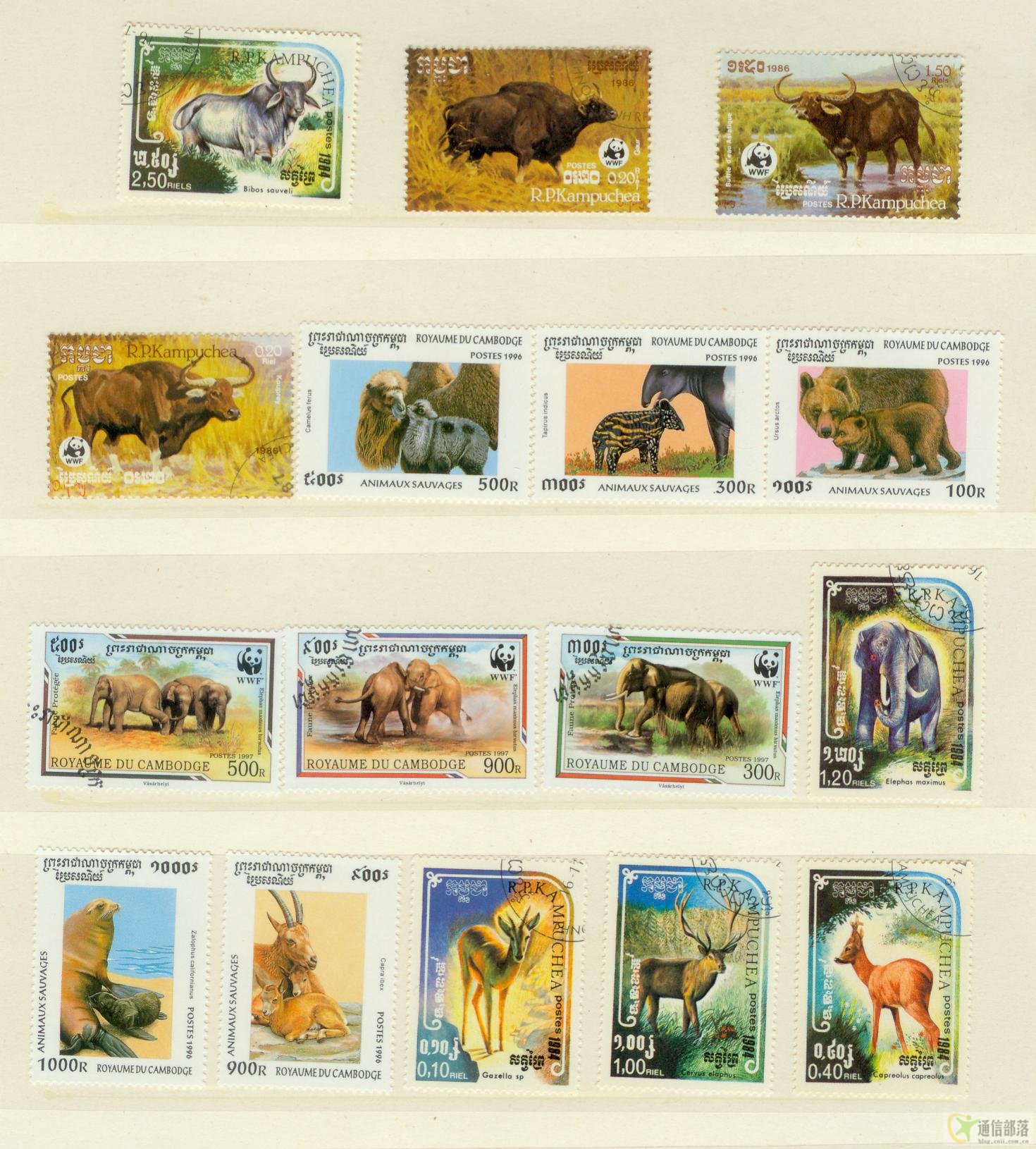 菲律宾邮票新加坡邮票泰国邮票蒙古邮票骆驼邮票哺乳动物邮票蒙古体育