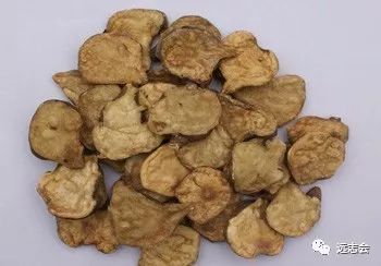 附子和白附子,傻傻分不清楚