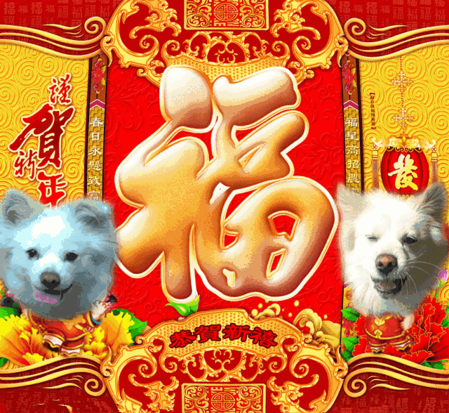 《祝福相册》送你100个福字~~!