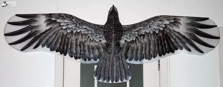 1004-邓德友太极盘鹰2004-邓德友太极盘鹰1003-朱猷成鹞子2003-朱猷成