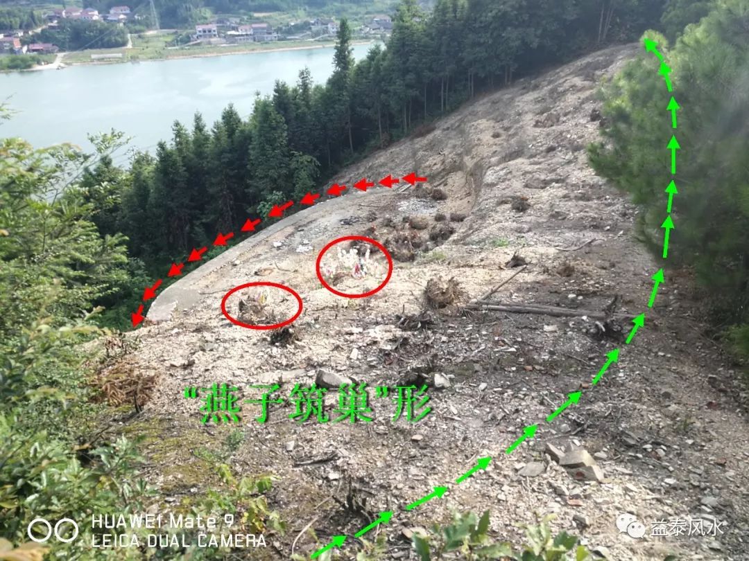 飞燕筑巢形风水地某家族墓地考察钤记