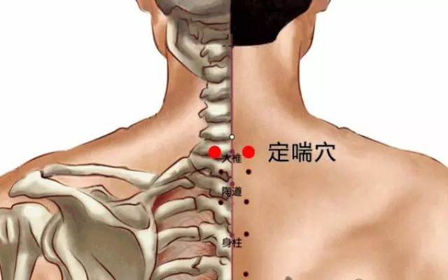 1寸(指寸),左右共十穴;位置:由"大都,上都,中都,下都"四穴组成.