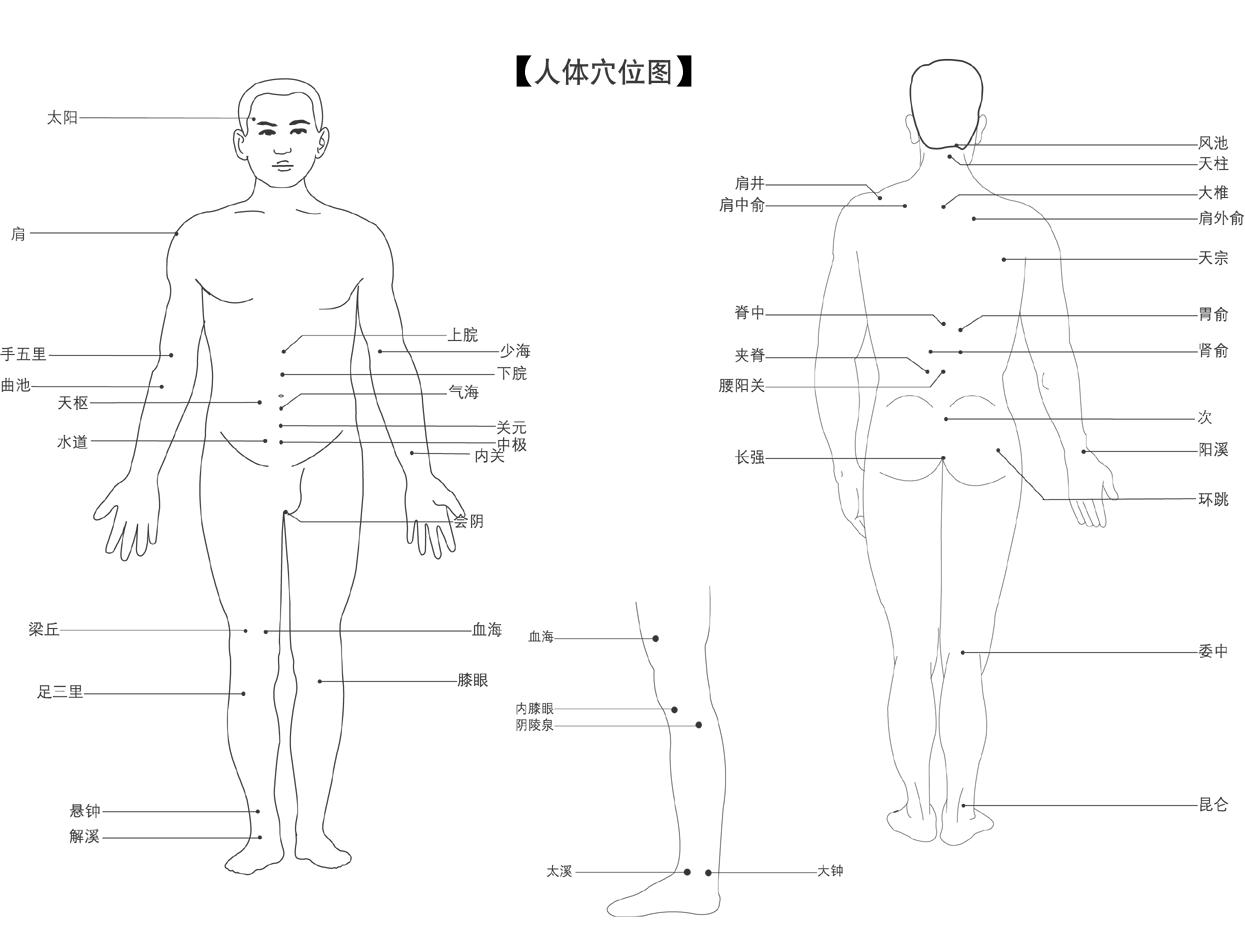 珍品人體穴位功能詳圖8圖