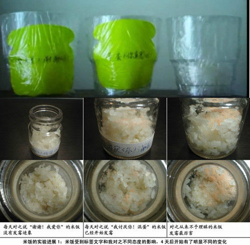 水知道答案震驚並影響世界的發現