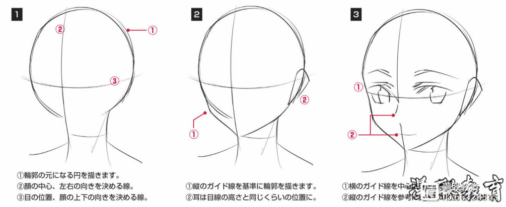 ① 画一个正圆作为轮廓 ;② 在脸的中心辅助线,来决定面部左右朝向