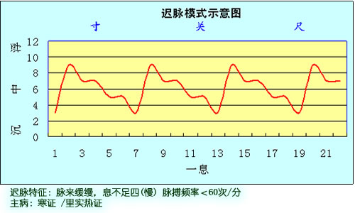 怎么打通带脉_通带脉的最快方法_通带脉的中药方子