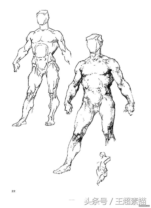 收藏级素描速写必备伯里曼人体结构高清版02