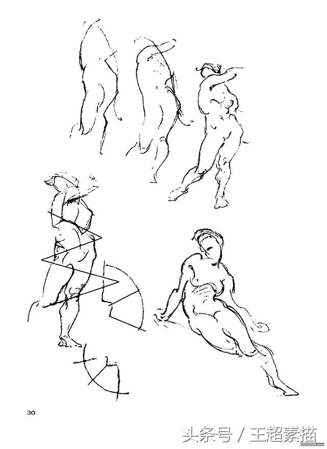 素描速写必备!伯里曼人体结构高清版02