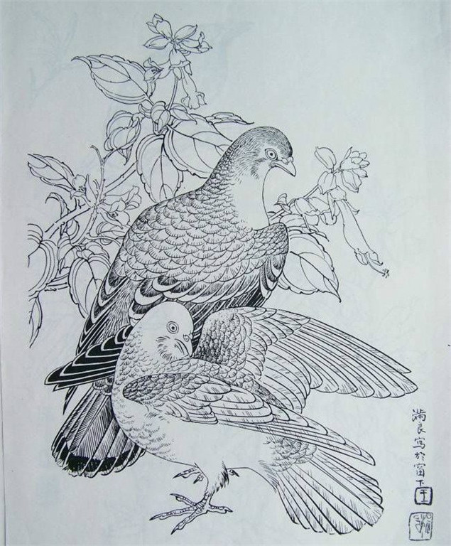 国画家王满良工笔白描花鸟稿10p