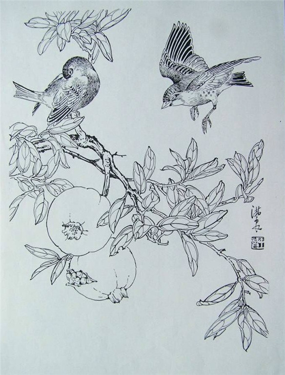 国画家王满良工笔白描花鸟稿10p