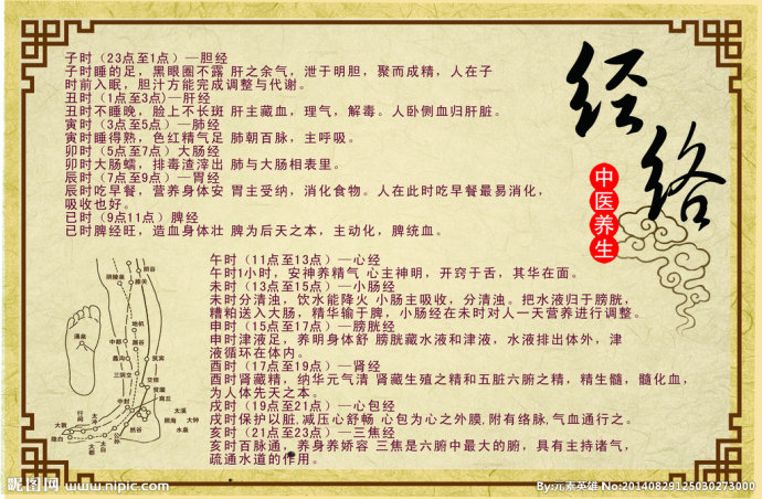 前边的日志提到了经脉与络脉,那么说起经络,大家就不陌生了,作为经络