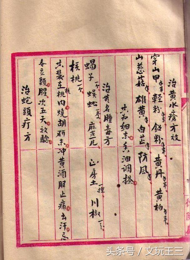 珍稀医书《青囊回春》