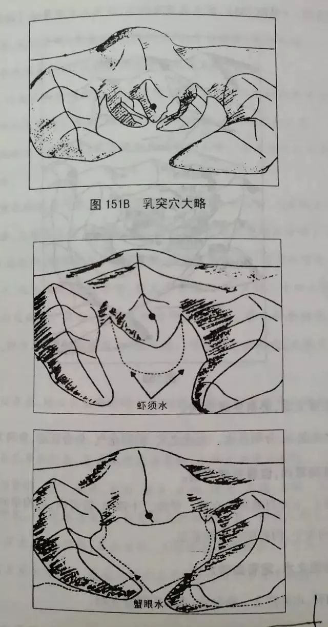 什么是蝉翼砂,虾须水?图文详解