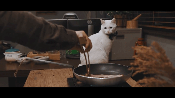 美食摄影日食记拍摄过程