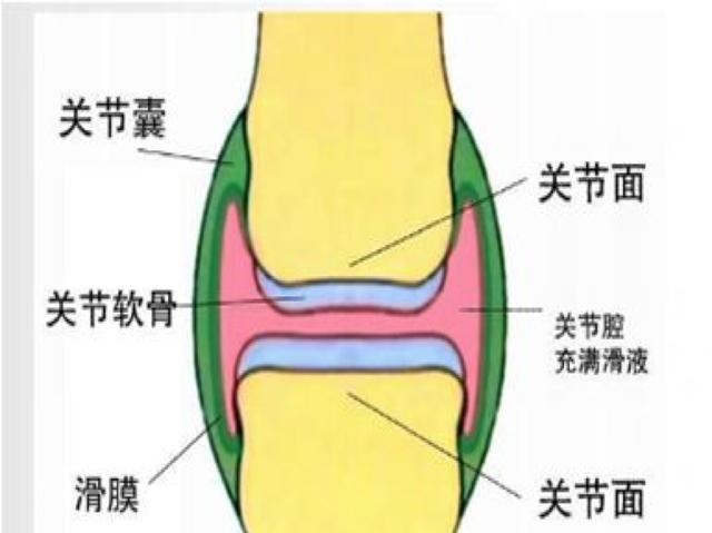 为什么会觉得膝盖内侧疼真正原因千万不能忽视否则后悔一生