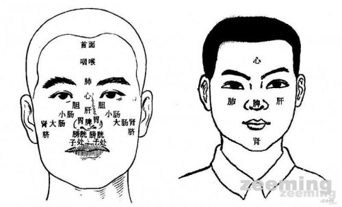 颐骨位置图片