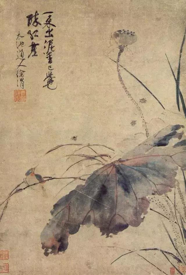 徐渭墨荷这才叫大写意