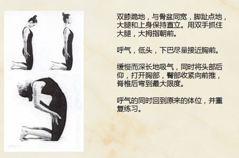 保持身体年轻的藏地五式