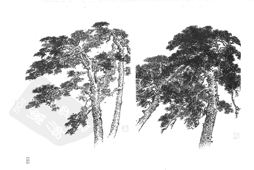 白描花鸟松树篇