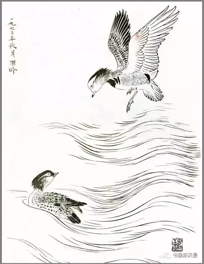 孙其峰画鸳鸯白描画稿