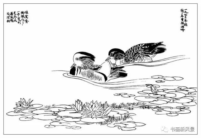 孙其峰画鸳鸯白描画稿