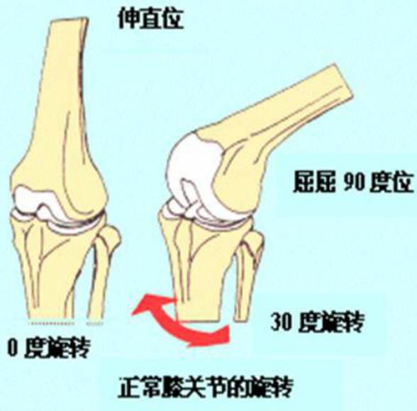 图文详解膝关节形态与运动的关系